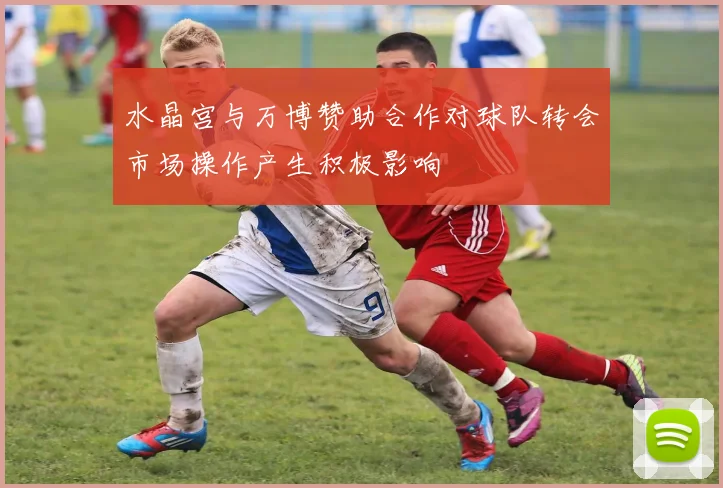 水晶宫与万博赞助合作对球队转会市场操作产生积极影响
